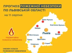 Пожежна небезпека 10 серпня: місцями надзвичайний рівень Пожежна небезпека 10 серпня: місцями надзвичайний рівень