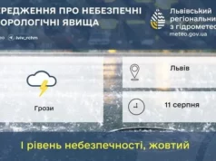 11 серпня на Львівщині та у Львові очікують грози 11 серпня на Львівщині та у Львові очікують грози