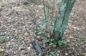 У Львові знищили артснаряд і гранату часів Другої світової війни У Львові знищили артснаряд і гранату часів Другої світової війни