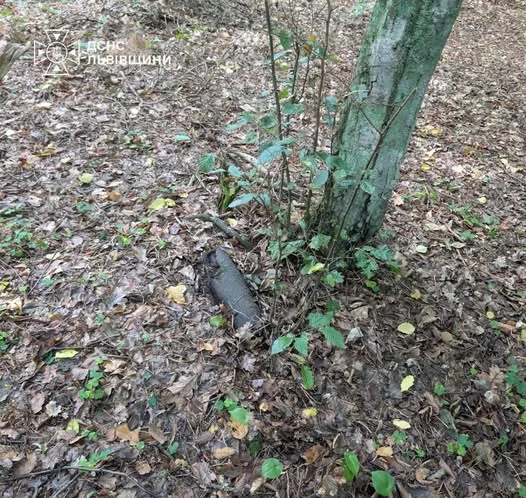 image У Львові знищили артснаряд і гранату часів Другої світової війни