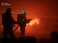 На Львівщині за добу ліквідували 42 пожежі, з них 29 в екосистемах