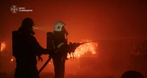 На Львівщині за добу ліквідували 42 пожежі, з них 29 в екосистемах
