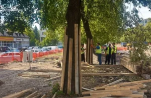 На вул. Мазепи у Львові навколо дерев встановлюють захисні дерев’яні огорожі На вул.