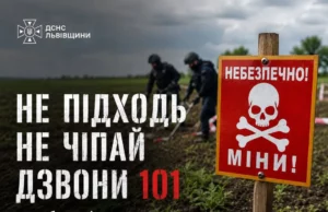 На Львівщині сапери знищили три боєприпаси часів Другої світової війни На Львівщині сапери знищили три боєприпаси часів Другої світової війни
