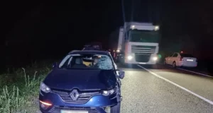 На Львівщині автомобіль смертельно травмував пішохода на дорозі Львів–Луцьк