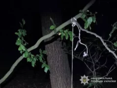На Львівщині судитимуть чоловіка, який задушив собаку на дереві На Львівщині судитимуть чоловіка, який задушив собаку на дереві