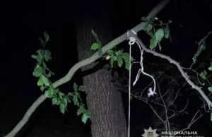 На Львівщині судитимуть чоловіка, який задушив собаку на дереві