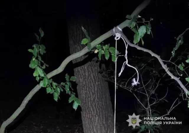 image На Львівщині судитимуть чоловіка, який задушив собаку на дереві