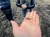 Суд повернув громаді 15 га землі в урочищі «Промірок» на Львівщині
