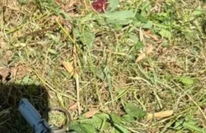 У Львові на подвір’ї будинку виявили навчально-тренувальну гранату