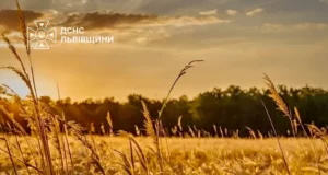 На Львівщині 16–17 серпня оголошено надзвичайну пожежну небезпеку