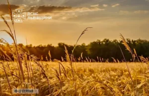 На Львівщині 16–17 серпня оголошено надзвичайну пожежну небезпеку На Львівщині 16–17 серпня оголошено надзвичайну пожежну небезпеку