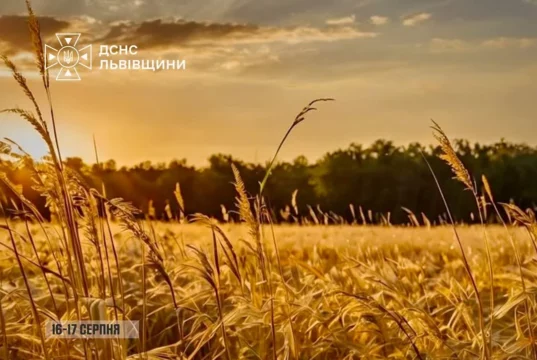 На Львівщині 16–17 серпня оголошено надзвичайну пожежну небезпеку