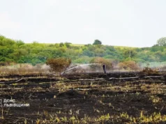 На Львівщині за добу ліквідували 39 пожеж в екосистемах На Львівщині за добу ліквідували 39 пожеж в екосистемах