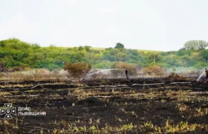 На Львівщині за добу ліквідували 39 пожеж в екосистемах На Львівщині за добу ліквідували 39 пожеж в екосистемах