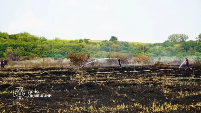 На Львівщині за добу ліквідували 39 пожеж в екосистемах