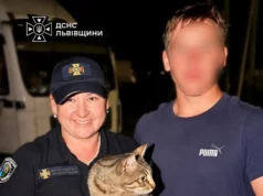 (Українська) У Зимній Воді рятувальники витягнули кота з п’ятиметрової шахти У Зимній Воді рятувальники витягнули кота з п’ятиметрової шахти