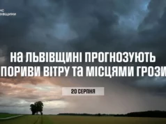 На Львівщині 20 серпня очікують пориви вітру та грози