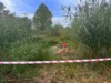 У селі Коти на Львівщині знищили мінометну міну часів Другої світової війни