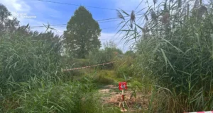 У селі Коти на Львівщині знищили мінометну міну часів Другої світової війни