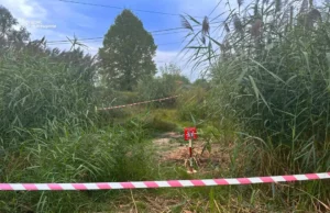 У селі Коти на Львівщині знищили мінометну міну часів Другої світової війни