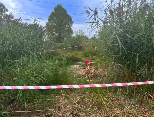 image У селі Коти на Львівщині знищили мінометну міну часів Другої світової війни