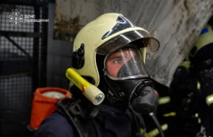 У Львові з багатоповерхівки під час пожежі евакуювали людей і тварин