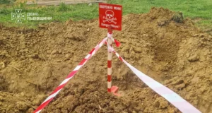 У селі Завадка на Стрийщині знайшли мінометні міни часів Другої світової