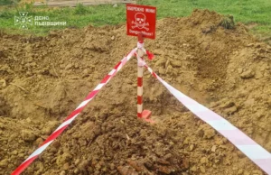 У селі Завадка на Стрийщині знайшли мінометні міни часів Другої світової