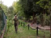 У Львові розпочали ексгумацію солдатів Війська Польського на старому Голосківському цвинтарі