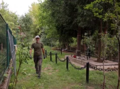 У Львові розпочали ексгумацію солдатів Війська Польського на старому Голосківському цвинтарі У Львові розпочали ексгумацію солдатів Війська Польського на старому Голосківському цвинтарі