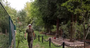 У Львові розпочали ексгумацію солдатів Війська Польського на старому Голосківському цвинтарі