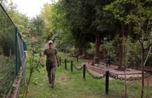 У Львові розпочали ексгумацію солдатів Війська Польського на старому Голосківському цвинтарі