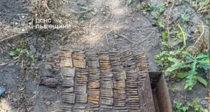 На Львівщині знищили гранату, патрони та артснаряди часів Другої світової війни