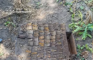 На Львівщині знищили гранату, патрони та артснаряди часів Другої світової війни На Львівщині знищили гранату, патрони та артснаряди часів Другої світової війни