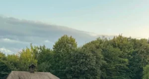 На День Незалежності до Шевченківського гаю у Львові прийшли понад 3 тисячі людей