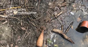 У селі Магерів у обмілілому озері знайшли мінометні міни часів Другої світової