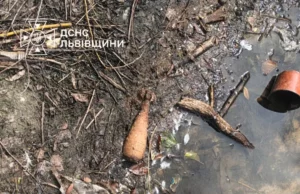 У селі Магерів у обмілілому озері знайшли мінометні міни часів Другої світової У селі Магерів у обмілілому озері знайшли мінометні міни часів Другої світової