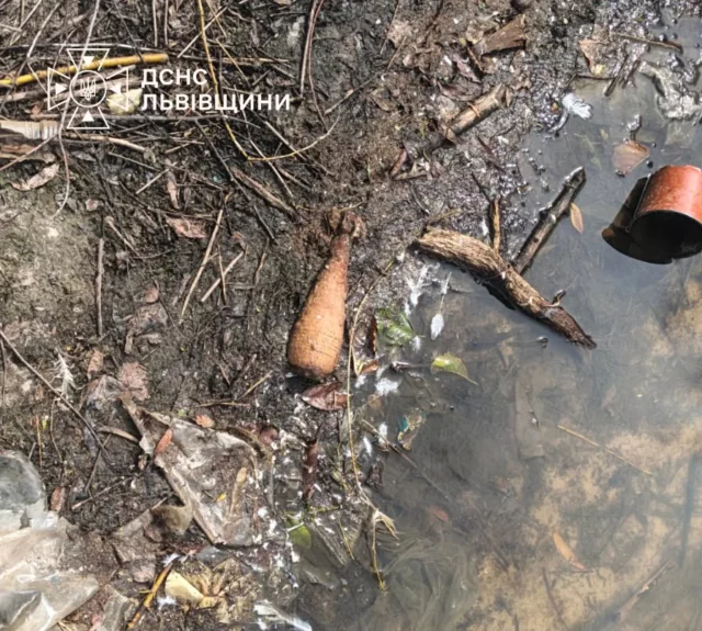 У селі Магерів у обмілілому озері знайшли мінометні міни часів Другої світової
