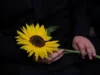 У Львові проведуть вечір-реквієм до Дня пам’яті захисників і захисниць України