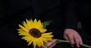 У Львові проведуть вечір-реквієм до Дня пам’яті захисників і захисниць України