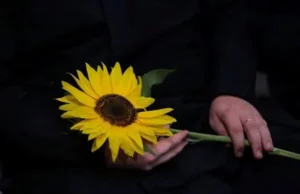 У Львові проведуть вечір-реквієм до Дня пам’яті захисників і захисниць України У Львові проведуть вечір-реквієм до Дня пам’яті захисників і захисниць України