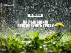29 серпня на Львівщині очікують грози: рятувальники надали поради безпеки 29 серпня на Львівщині очікують грози: рятувальники надали поради безпеки