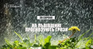 29 серпня на Львівщині очікують грози: рятувальники надали поради безпеки
