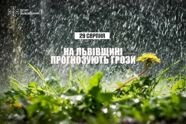29 серпня на Львівщині очікують грози: рятувальники надали поради безпеки
