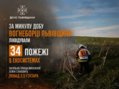 На Львівщині за добу загасили 34 пожежі в екосистемах