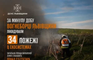 На Львівщині за добу загасили 34 пожежі в екосистемах