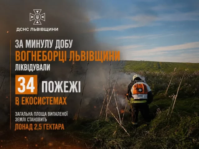 image На Львівщині за добу загасили 34 пожежі в екосистемах