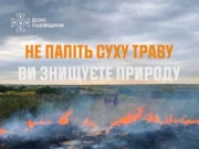 На Львівщині за добу зафіксували 14 пожеж в екосистемах