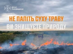 На Львівщині за добу зафіксували 14 пожеж в екосистемах На Львівщині за добу зафіксували 14 пожеж в екосистемах